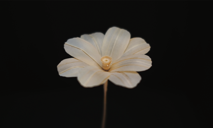 花瓶に支えられているゆり