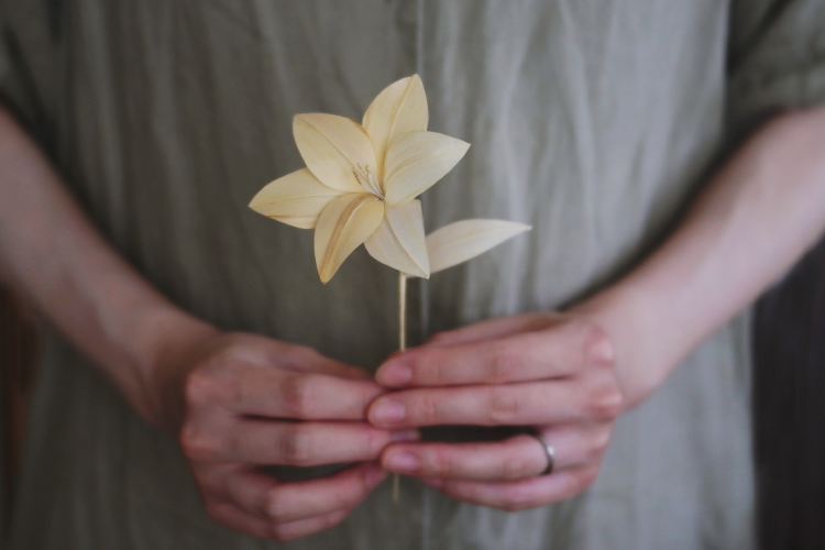 人の手に乗っているキクズノハナ