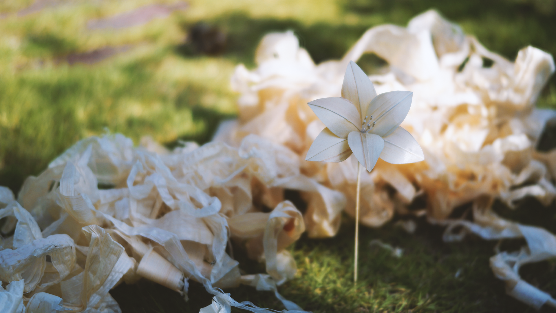 大工の父が削り、息子が咲かせた花