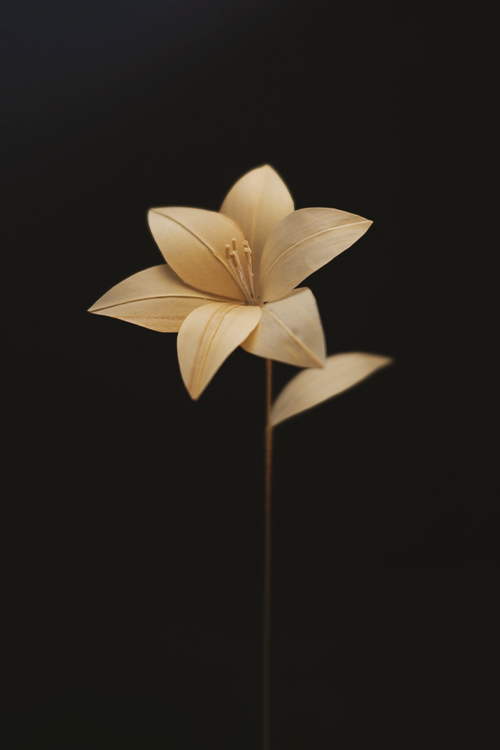 父が家を建てるときに出る鉋屑で制作したゆり