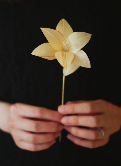 人の手に乗っているゆりのキクズノハナ