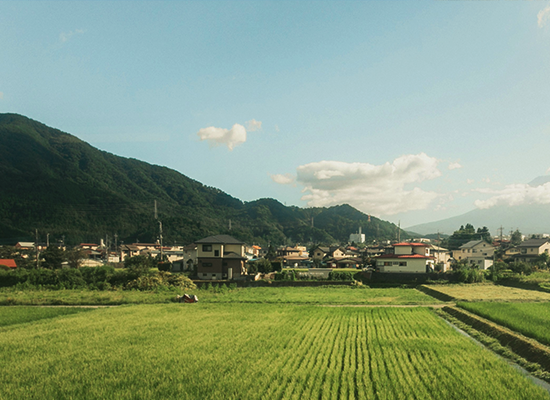 田園風景のある故郷の写真