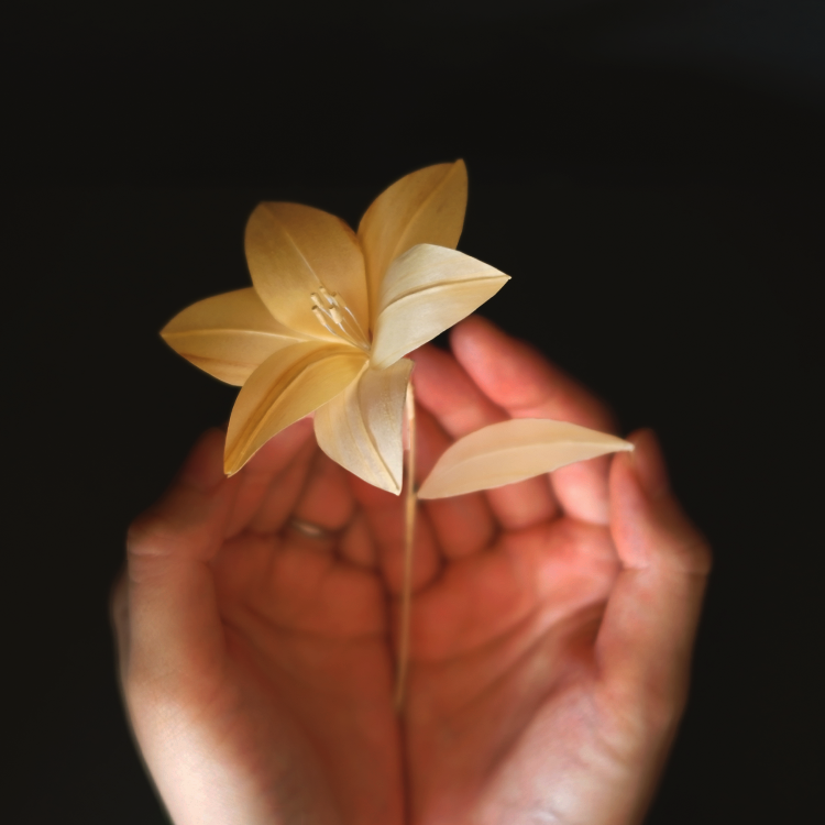 人の手に置いたときのゆり